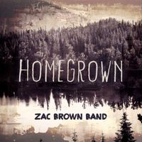 Zac Brown Band - Homegrown