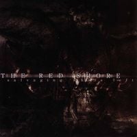 The Red Shore - Salvaging Whats Left