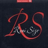 Roni Size - Touching Down