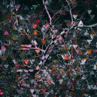 Nick Krueger - Division of the plane, volume I