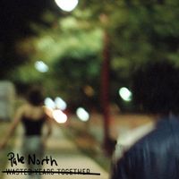 Pale North - Wasted Years Together