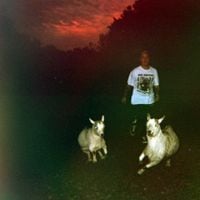 Fantasy Camp & Nedarb - Things Fall Apart