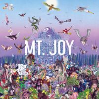 Mt. Joy - My Vibe