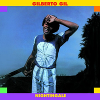 Gilberto Gil - Nightingale