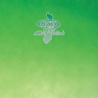 Boris With Merzbow - Walrus / Groon