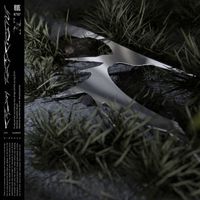 SY/N - New Economy