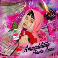 Amandititita - Pinche Amor