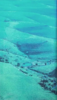 Imaginary Softwoods - Imaginary Softwoods