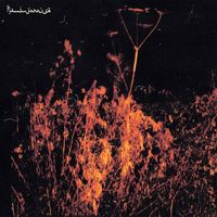 Flamingo House - Waiting For Something To Happen