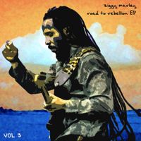 Ziggy Marley - Road to Rebellion, Vol. 3 (Live)