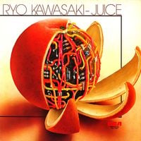 Ryo Kawasaki - Juice