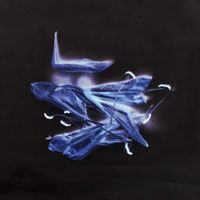 Murials - STEMS