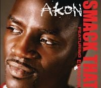 Akon - Smack That