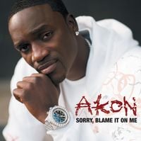 Akon - Sorry, Blame It on Me