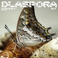 Z.I.P.P.O - Diaspora