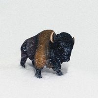 Tiny Moving Parts - You Lost Me / Guardians