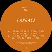 Pangaea - New Shapes in the Air