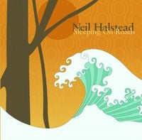 Neil Halstead - Sleeping on Roads