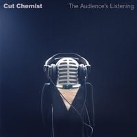 Cut Chemist - The Audience Is Listening