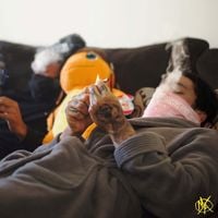 Big Kahuna OG & Fly Anakin - Another Big Fly 420