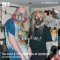100 gecs - 100 gecs & The Chamber of Secrets