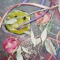 Nick Hakim - CRUMPY