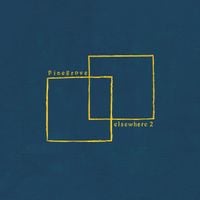 Pinegrove - Elsewhere 2