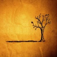 Jon Foreman - Fall