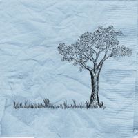 Jon Foreman - Summer