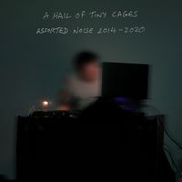 Paul Wolinski - A Hail of Tiny Cages | Assorted Noise 2014​-​2020