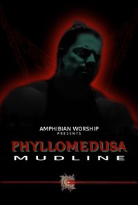 Phyllomedusa - Mudline