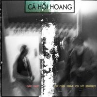 C&aacute; Hồi Hoang - Gấp Gap: C&oacute; cần phải c&oacute; l&yacute; kh&ocirc;ng?