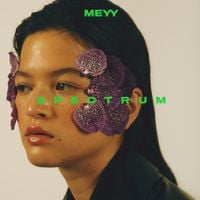 MEYY - Spectrum
