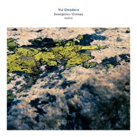 Yui Onodera - Synergetics / Entropy
