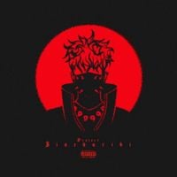 BVDLVD - PROJECT JINCHURIKI