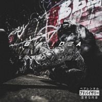 BVDLVD - BVDIDEA