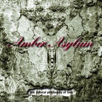 Amber Asylum - The Natural Philosophy Of Love