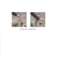 Elison 404 - Pebbledash