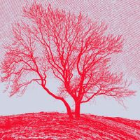 Computer Data - Baum