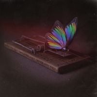 Picturesque - Do You Feel O.K?