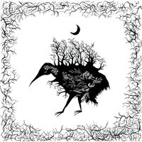 Clara Engel - Hatching Under the Stars