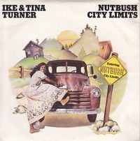 Ike & Tina Turner - Nutbush City Limits