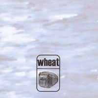 Wheat - Medeiros