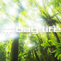 Swoopy - BAGLIFE 3