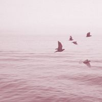 Alaskan Tapes - Views From Sixteen Stories