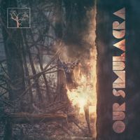 The Flashbulb - Our Simulacra
