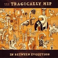 The Tragically Hip - In Between Evolution