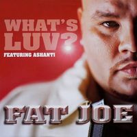 Fat Joe - What&rsquo;s Luv?