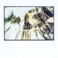 Pelt - Empty Bell Ringing in the Sky