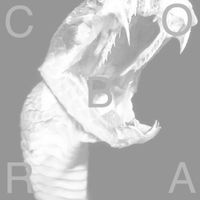 Nosaj New Kingdom & Steel Tipped Dove - Cobra